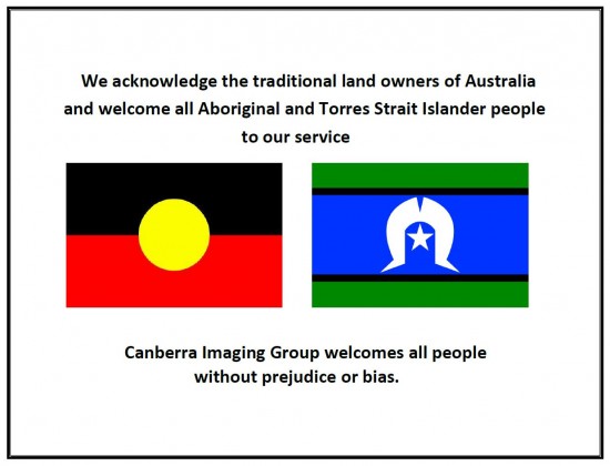 aboriginal and torres state island flag